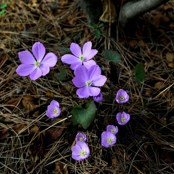 赌博网站棋牌游戏